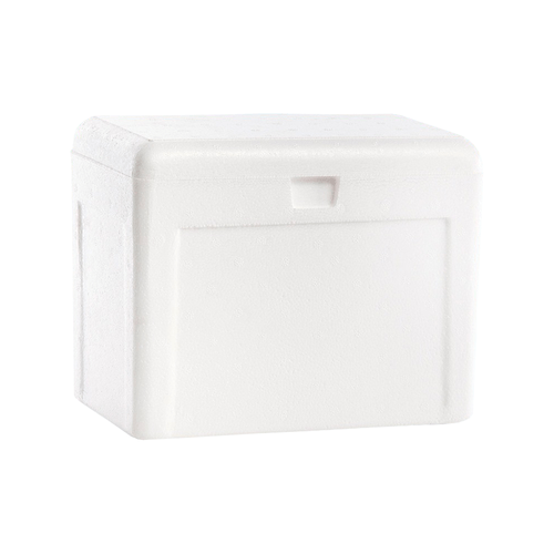 Caixa Térmica de Isopor Goldpac 3 Litros