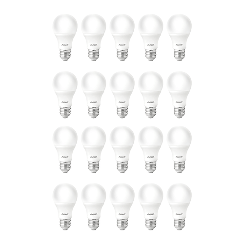 Kit Com 20 Lâmpadas Bulbo LED Avant 9W Luz Fria 6500K - 335401378 Bivolt
