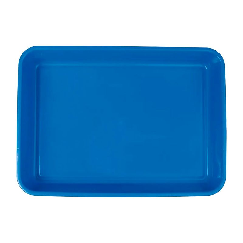 Bandeja-Higienica-Pet-Mor-Azul-60020303-171140-171140-3