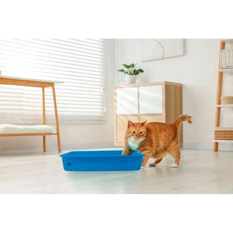 Bandeja-Higienica-Pet-Mor-Azul-60020303-171140-171140-4