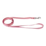 Guia-Pet-Mor-P-Rosa-60020006-171044-171044-1