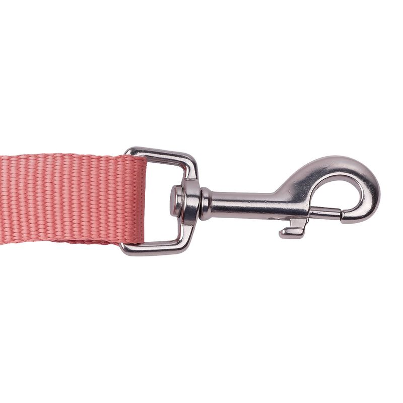 Guia-Pet-Mor-P-Rosa-60020006-171044-171044-2