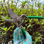 Tesoura Colheita turvo Trapp Ts 3124-1  Vermelha  A o 129053 1