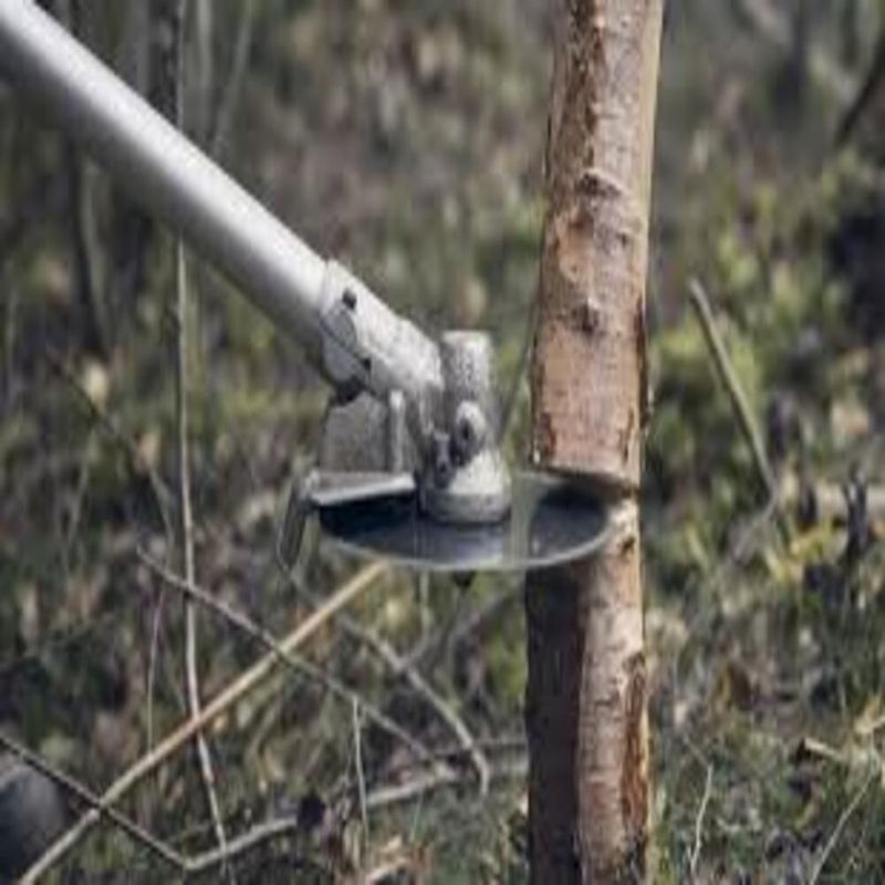 L mina Circular Husqvarna Scarlet 200mm - 597468201 1