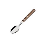 Colher de Mesa Tramontina  em A o Inox e Cabo Polywood Castanho - 21103 490 0