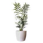 Cachep  Nutriplan Elegance Redondo N 1 Branco Pl stico 1