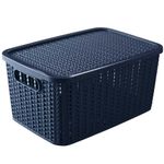 Caixa Org  Plas til Trama 263 8L Azul Pl st  0