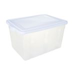 Caixa Org  Plasvale 295 8300 38L Transp  Pl st  0