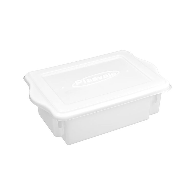 Caixa c  Tampa Plasvale 1245 8079 10L Transp  PP 0