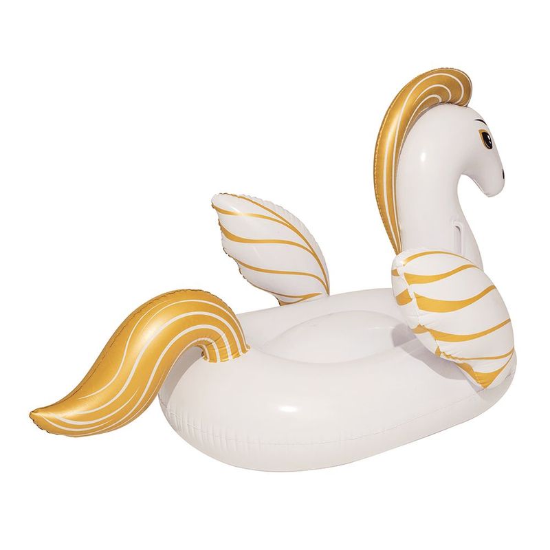 Boia Infl vel Mor Pegasus 1 52m 1981 2