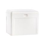 Caixa T rmica Goldpac Isopor 3L - Port til 0