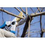 Tesoura Poda Jacto PS 20 21cm Tit nio Mola Helicoidal 3