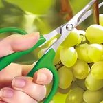 Tesoura Trapp TS 3154A Colheita Desbaste 15 5cm 5