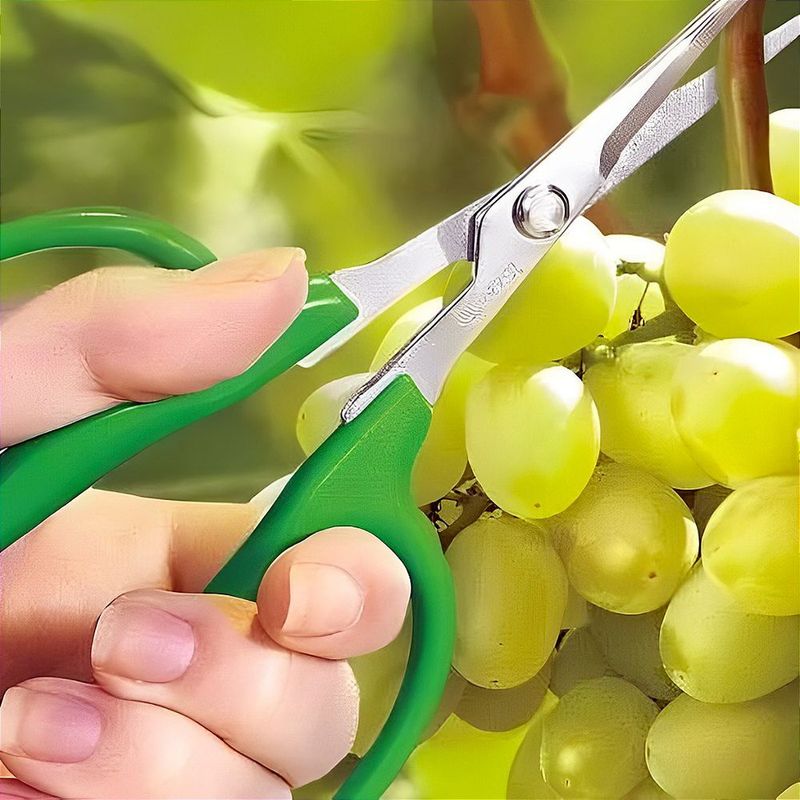 Tesoura Trapp TS 3154A Colheita Desbaste 15 5cm 5