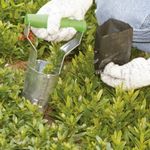 Transplantador Trapp FJ-1015 Regul vel   Plantio de Mudas 4