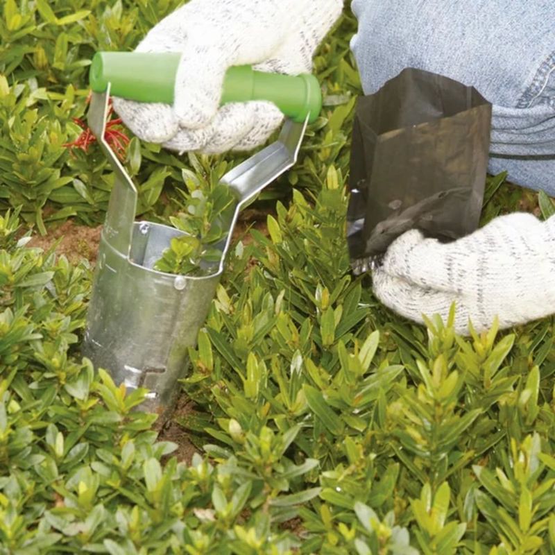 Transplantador Trapp FJ-1015 Regul vel   Plantio de Mudas 4