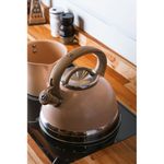 Chaleira Inducao 3l Granilite Bg Lyor 221491 3