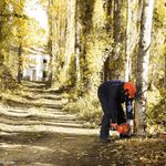 Motosserra Husqvarna 445 II Gasolina 2 8HP Sabre 18  4