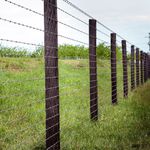 Arame Farpado Gerdau Urso 250m Galvanizado 1 6mm 0