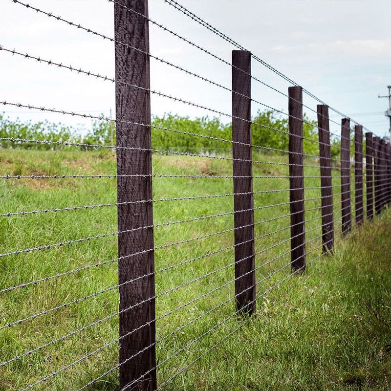 Arame Farpado Gerdau Urso 250m Galvanizado 1 6mm 0