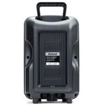 Caixa Amplificada Amvox ACA 221 Gigante II 220W 2