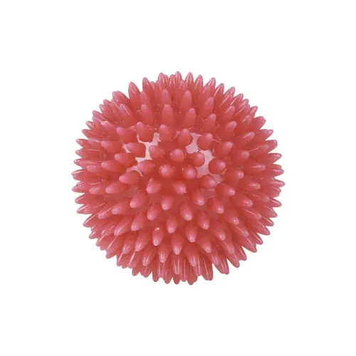 MORDEDOR PET MOR DENTAL BOLA ROSA