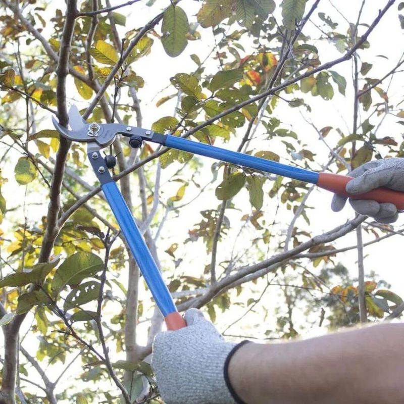 Kit Jacto Pulverizador S20b   Tesourao Para Poda PM31 - Jacto 8