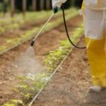 Pulverizador Costal El trico Jacto SB20B 20L - Jacto 5