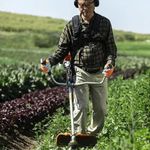 Ro adeira Gasolina Husqvarna 321R 1 06HP 4