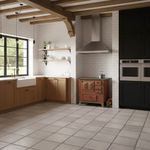 Fog o A Lenha Venax N1 Gabinete Gii S culo Xviii Renaissance Tabaco Com Tampa - Chamin  Sa da Lado Esquerdo 4