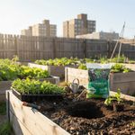 Humosolo Vida 2kg - Condicionador de Solo Org nico 1