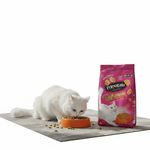 Ra  o Hercosul Primogato Premium  Original Carne e Frango 10 1Kg 2