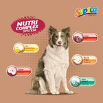 Ra  o Supra Sapeca C es Adultos 10 1 KG 2