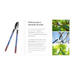 Tesourao Para Poda Jacto Pm 31 1285975 4